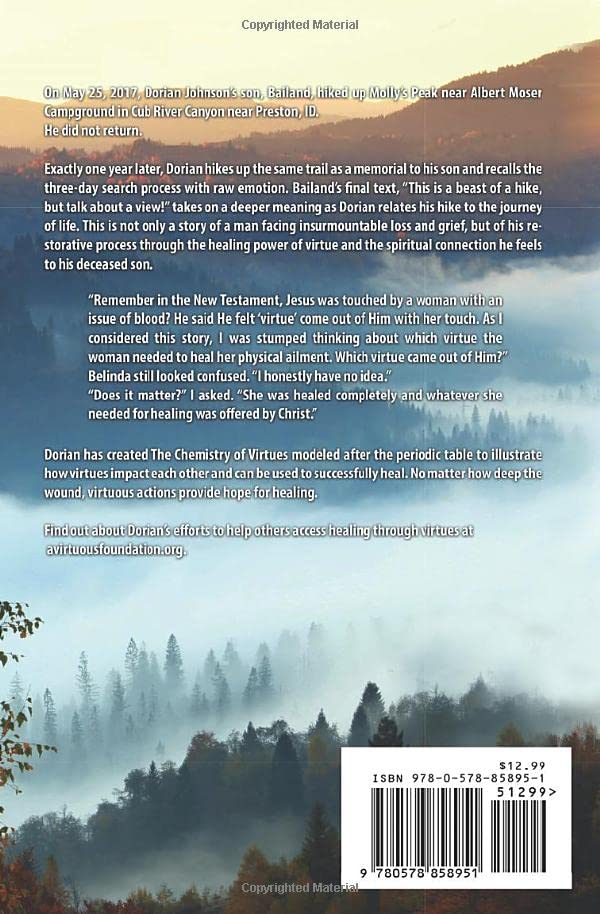 Back cover of The View from Above, featuring the book's synopsis